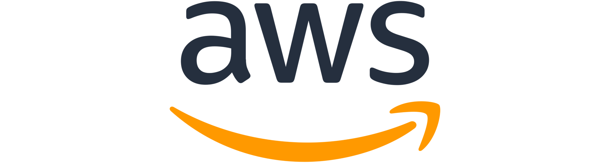 AWS (4175 x 1121 px) (1)